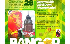 St David’s Festival At Bangor